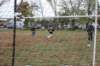 soccershoot17_small.jpg